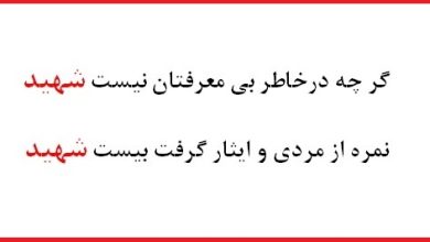 تصویر از غفلت آقای علی زاکانی شهردار تهران نسبت به از بین بردن ساختار گلزار شهدا و نادیده گرفتن دغدغه مقام معظم رهبری